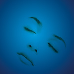 Entspannungstraining
