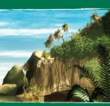 regenwald